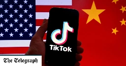 American TikTok user data stored in China, video app admits