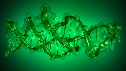 DNA shapes itself to execute new functions | Cornell Chronicle