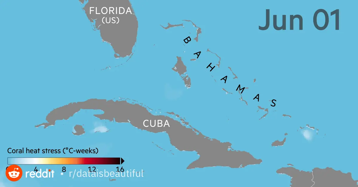 [OC] Animation showing the build up of coral heat stress off the coast of Florida as the waters warm to an incredible 38.4C (101.12F). The equivalent of someone with a high fever