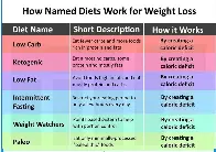 a cool guide to diets