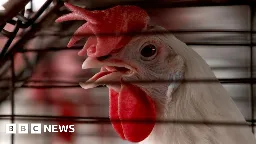 Four Missouri healthcare workers develop symptoms after bird flu exposure